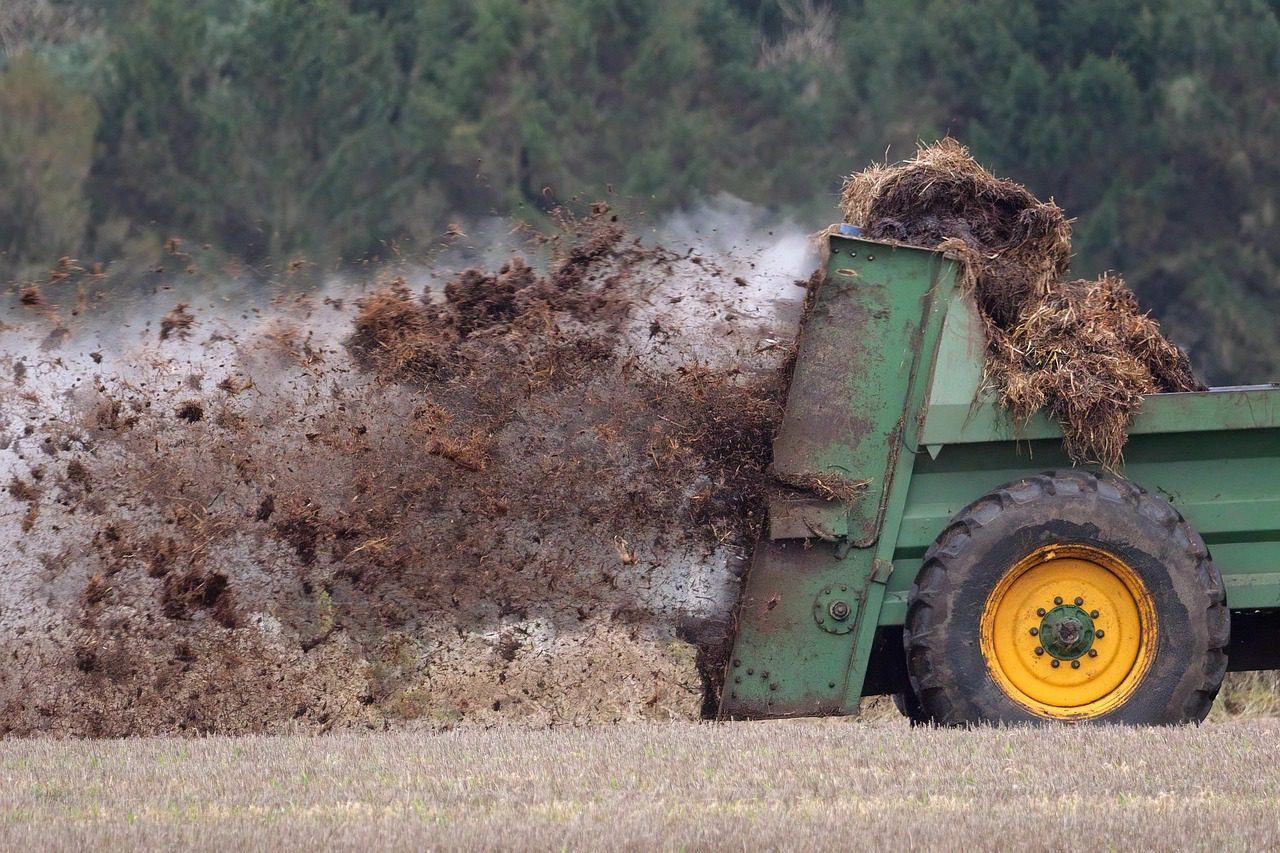 green manure