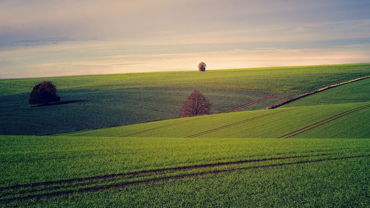 rural_land_plot
